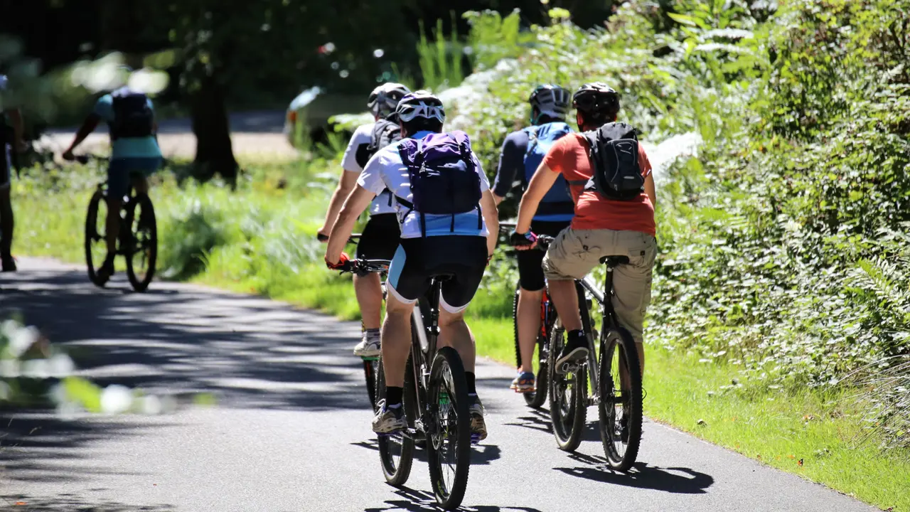 Geführte Fahrradtouren durch die Rhön