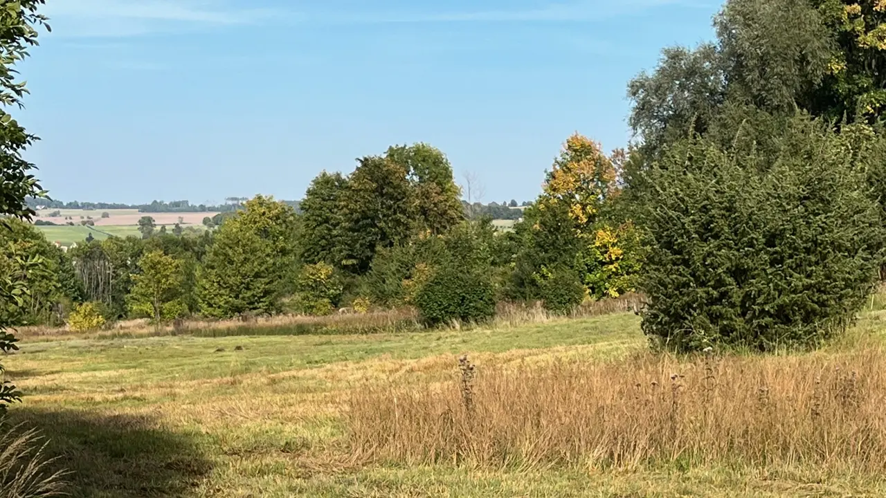 Geschichte der Rhön