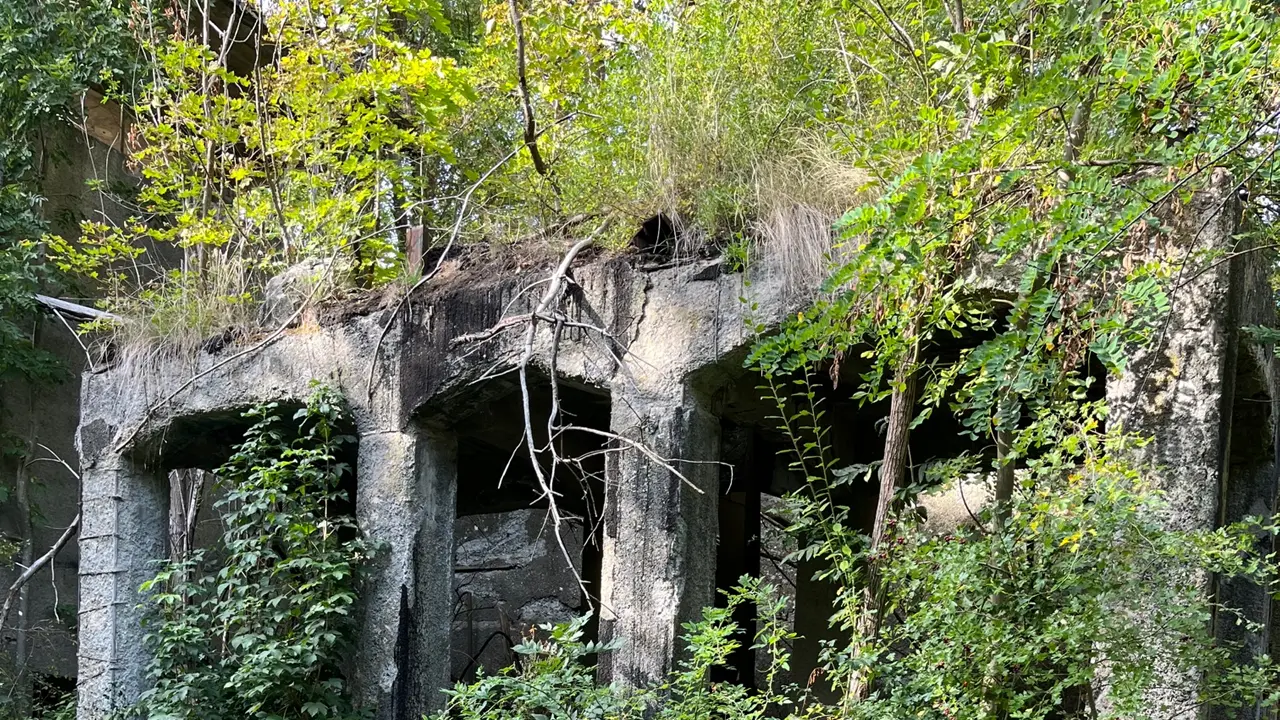 rhoen-erleben.de - Geführte Touren