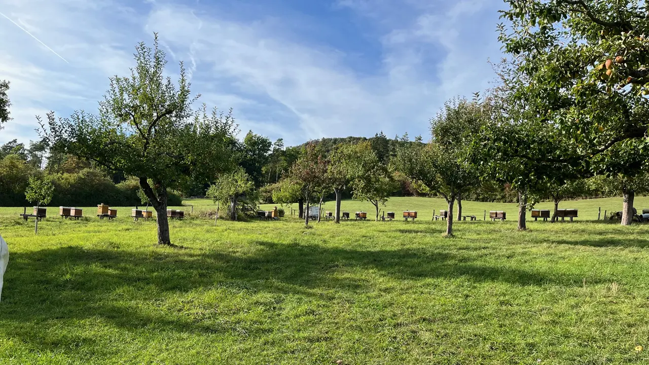 Auf den Spuren der Köhler mit rhoen-erleben.de