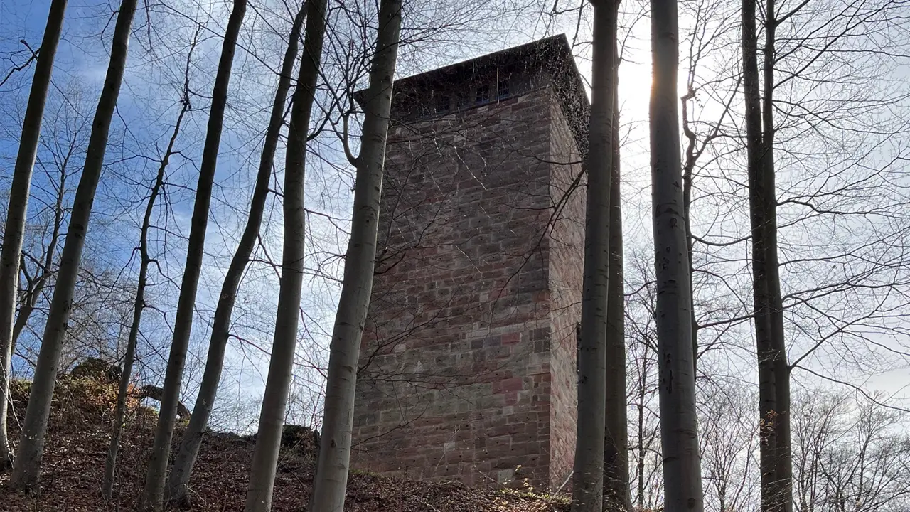 Burg Frankenberg - Geführte Fahrradtour